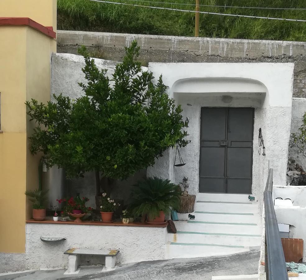 לינה וארוחת בוקר Vietri Il Covo Delle Civette מראה חיצוני תמונה